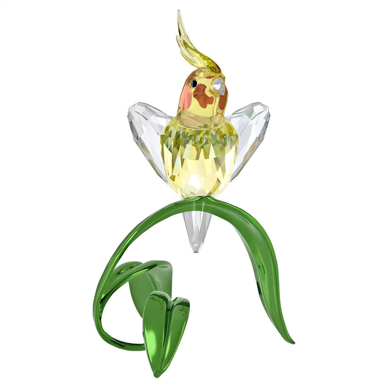 Swarovski Idyllia Cockatiel