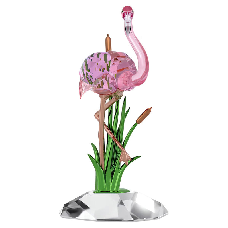 Swarovski Idyllia Flamingo