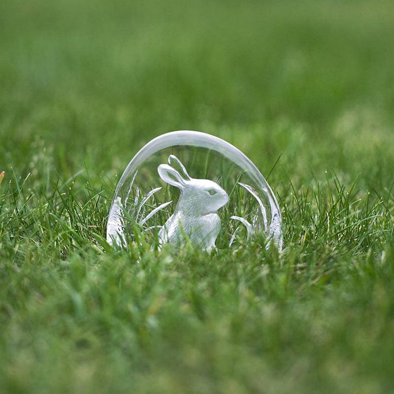 Maleras Rabbit
#2