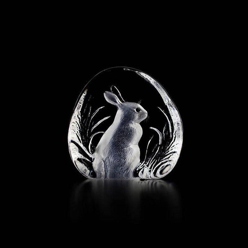 Maleras Rabbit