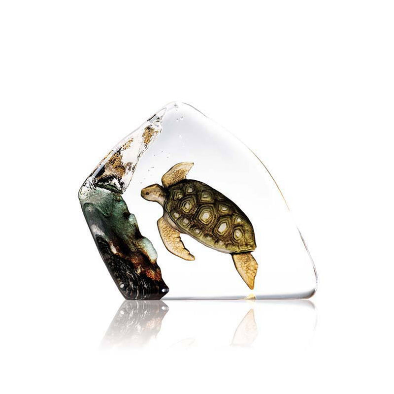 Maleras Sea Turtle