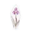 Maleras Floral Fantasy Acarena, Large