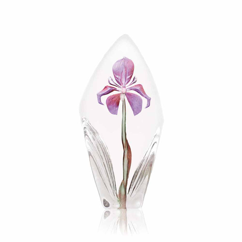 Maleras Floral Fantasy Acarena, Large