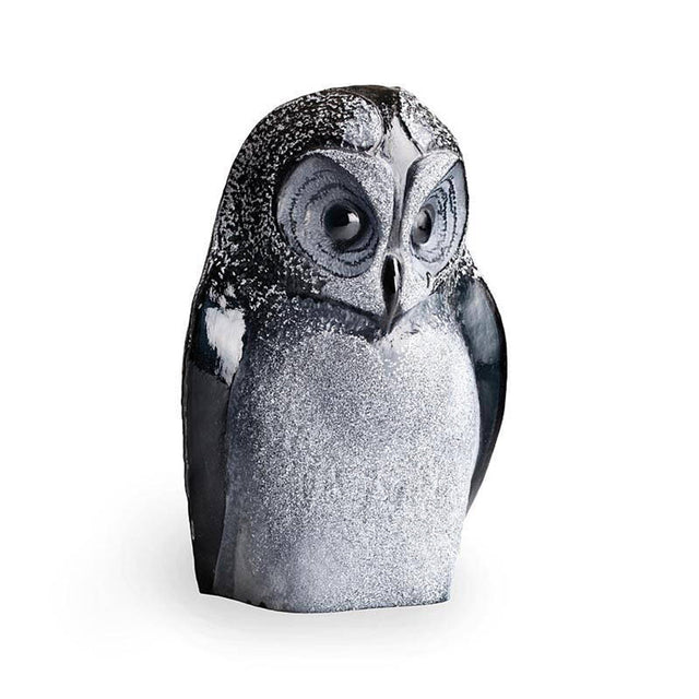 Maleras Owl