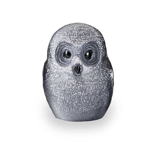 Maleras Owlet