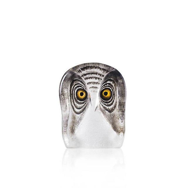 Maleras Owl, Small