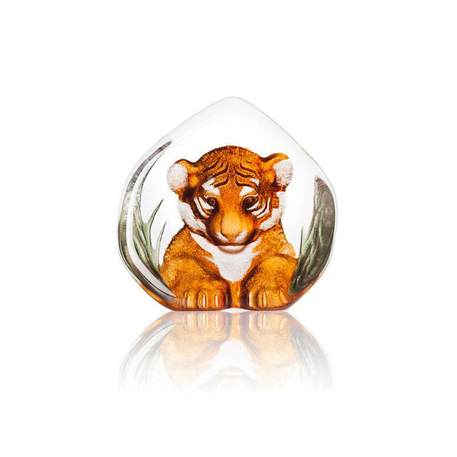 Maleras Tiger Cub
