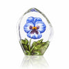 Maleras Floral Fantasy Pensee