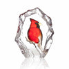 Maleras Wildlife Cardinal