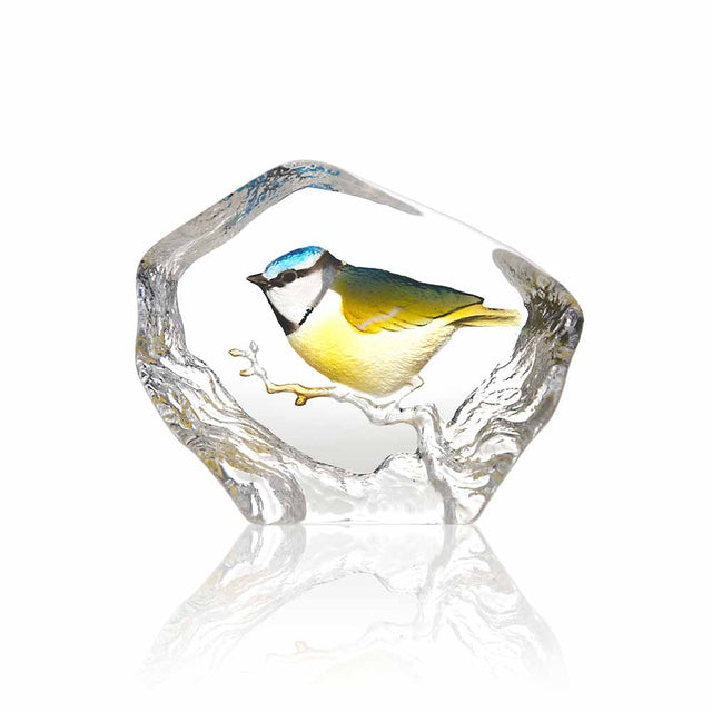 Maleras Wildlife Blue-Tit