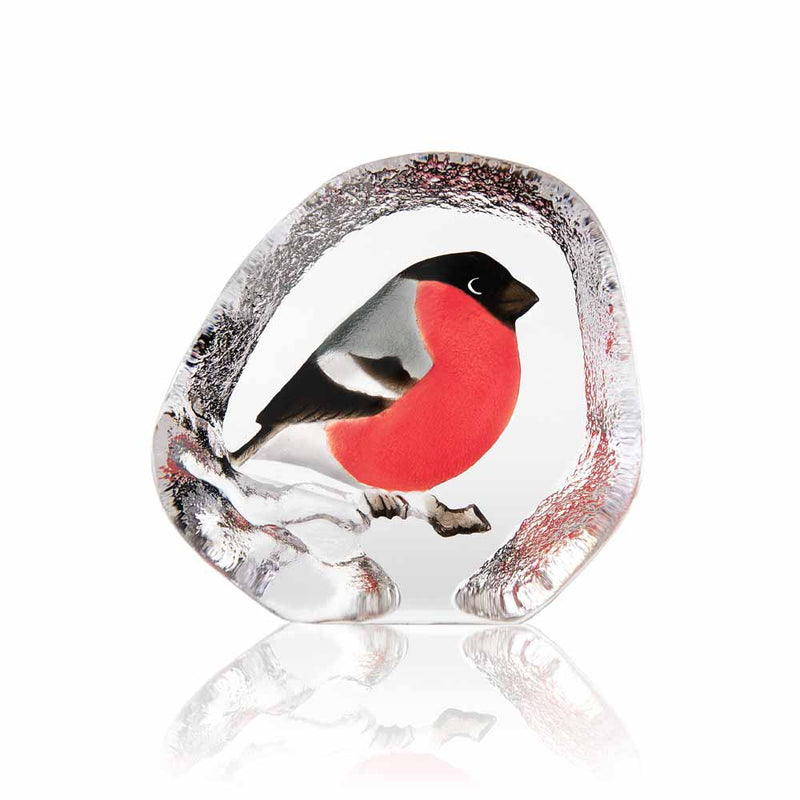 Maleras Wildlife Bullfinch