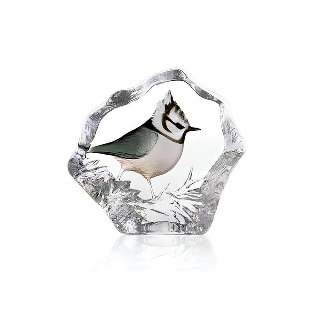 Maleras Wildlife Crested Tit
