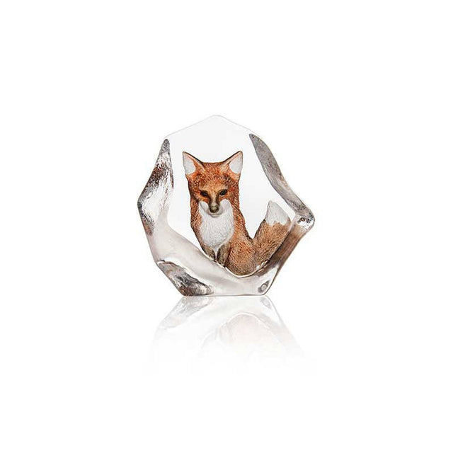 Maleras Fox