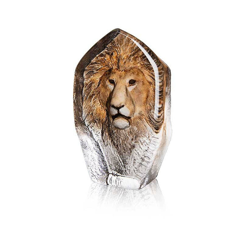 Maleras Lion
#2