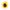 Maleras Sunflower