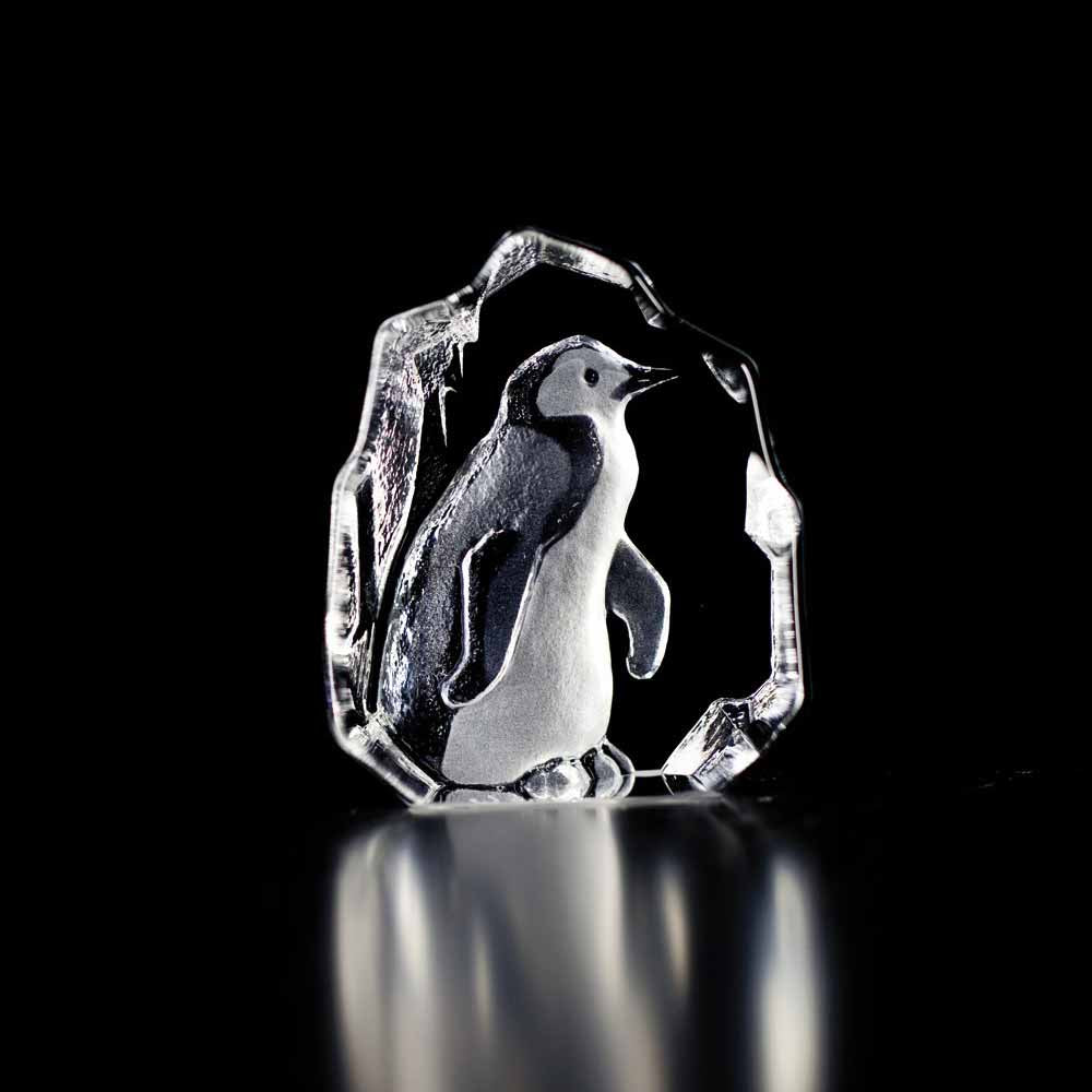 Maleras Wildlife Penguin – David Shuttle Ltd
