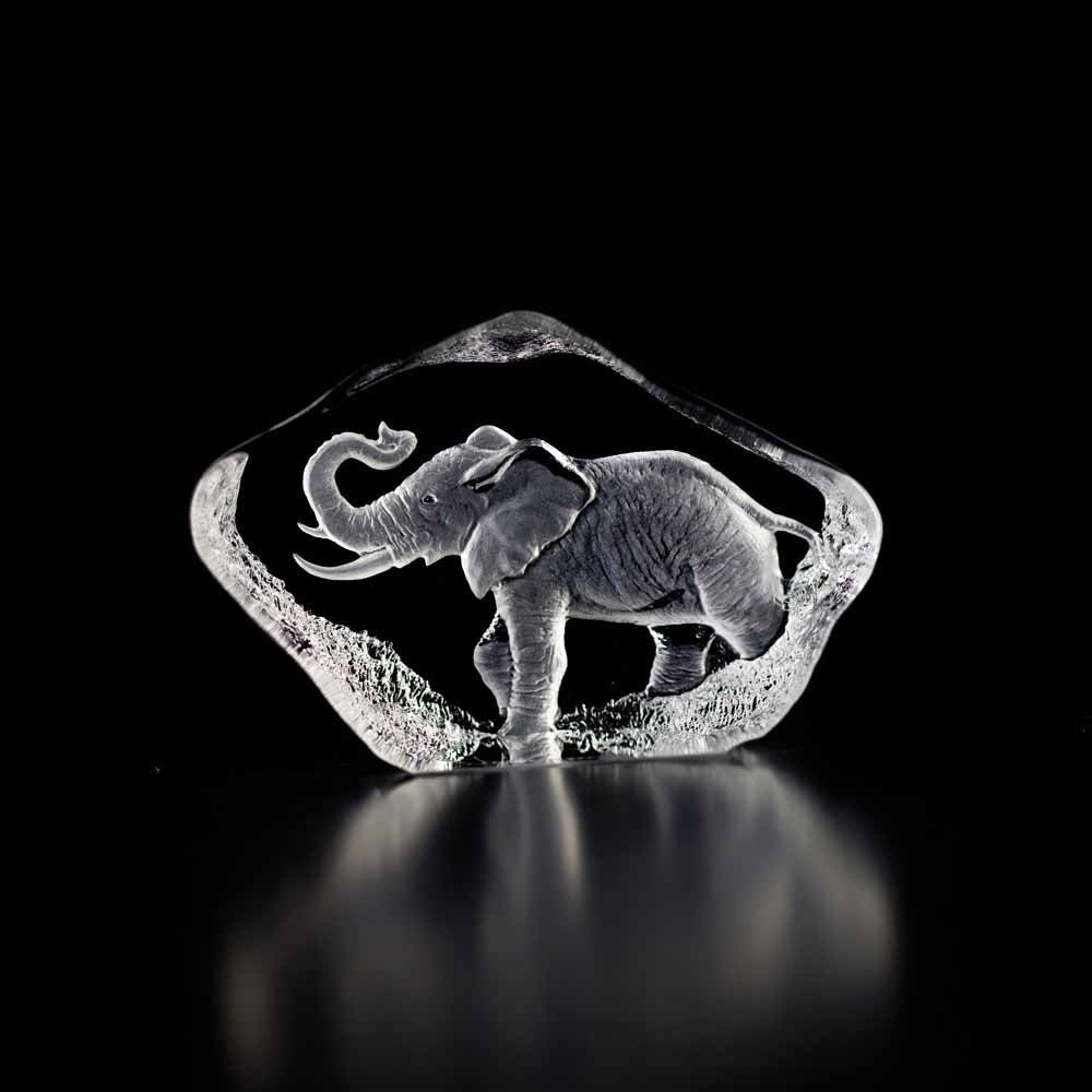 Maleras Wildlife Elephant – David Shuttle Ltd