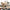 Mackenzie Childs Courtly Check Kitchen Canisters with Mackenzie Childs Courtly Check Baking items