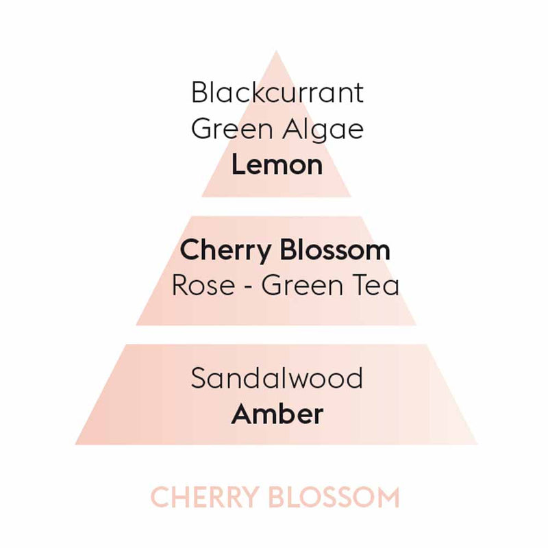Maison Berger Cherry Blossom Perfume Notes