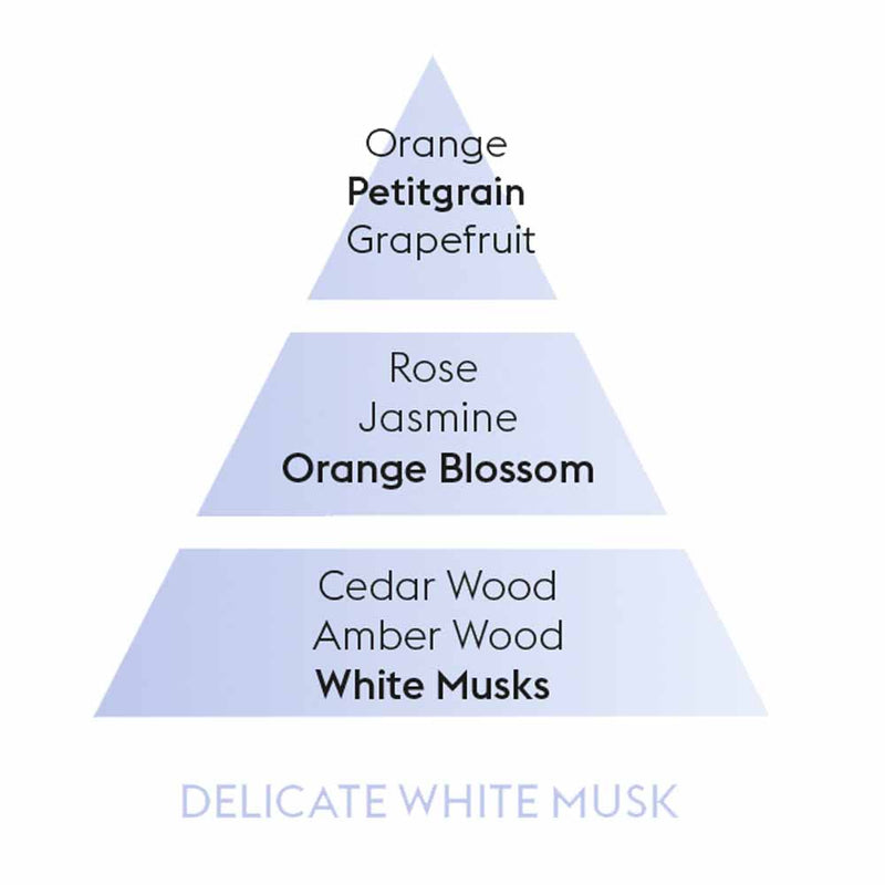 Maison Berger Delicate White Musk Perfume Notes