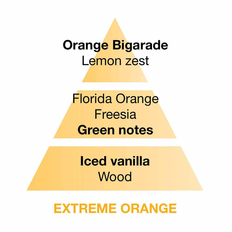 Maison Berger Extreme Orange Perfume Notes