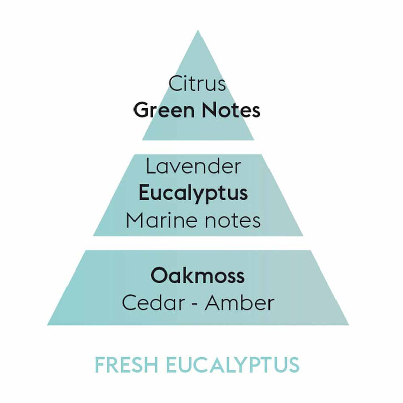 Fresh Eucalyptus Lampe Berger Refill 1 Litre