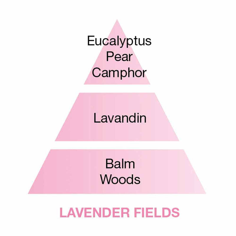 Maison Berger Lavender Fields Perfume Notes