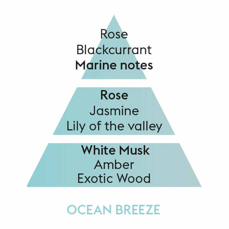 Maison Berger Ocean Breeze Perfume Notes