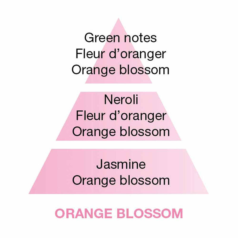 Maison Berger Orange Blossom Perfume Notes