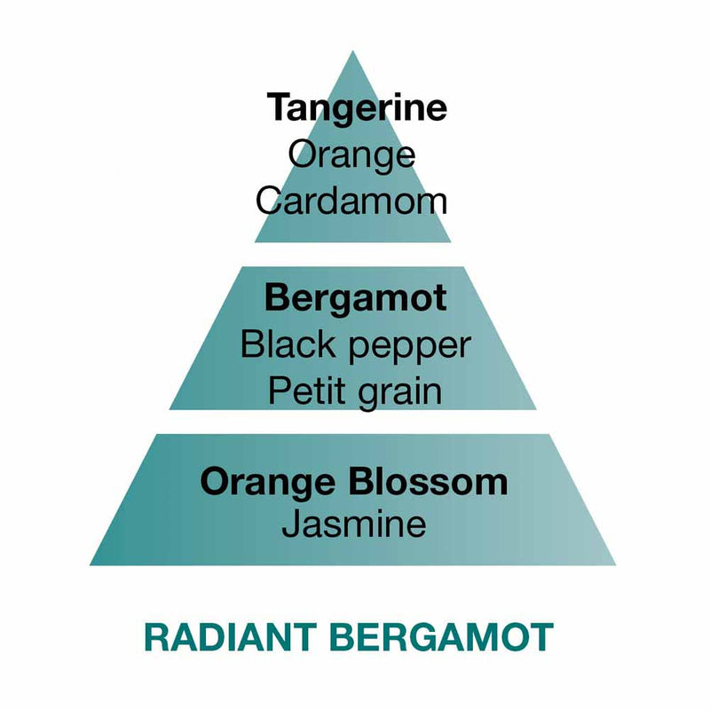 Radiant Bergamot