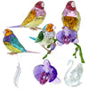 Swarovski Crystal Society 2024 Set