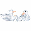 Swarovski Ducks