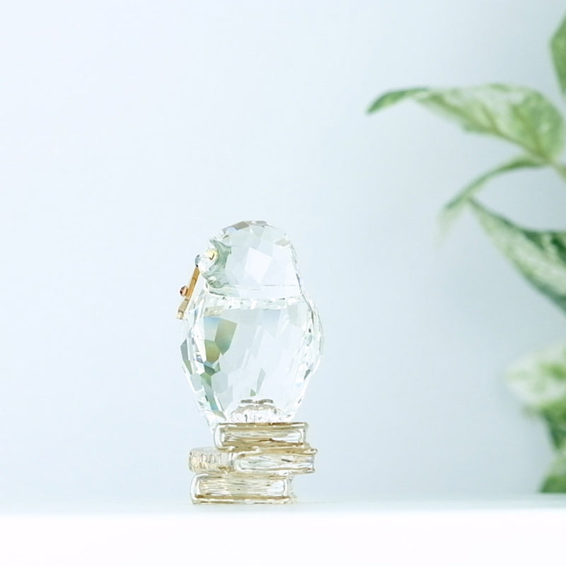 Swarovski Harry Potter Hedwig with plants in the background