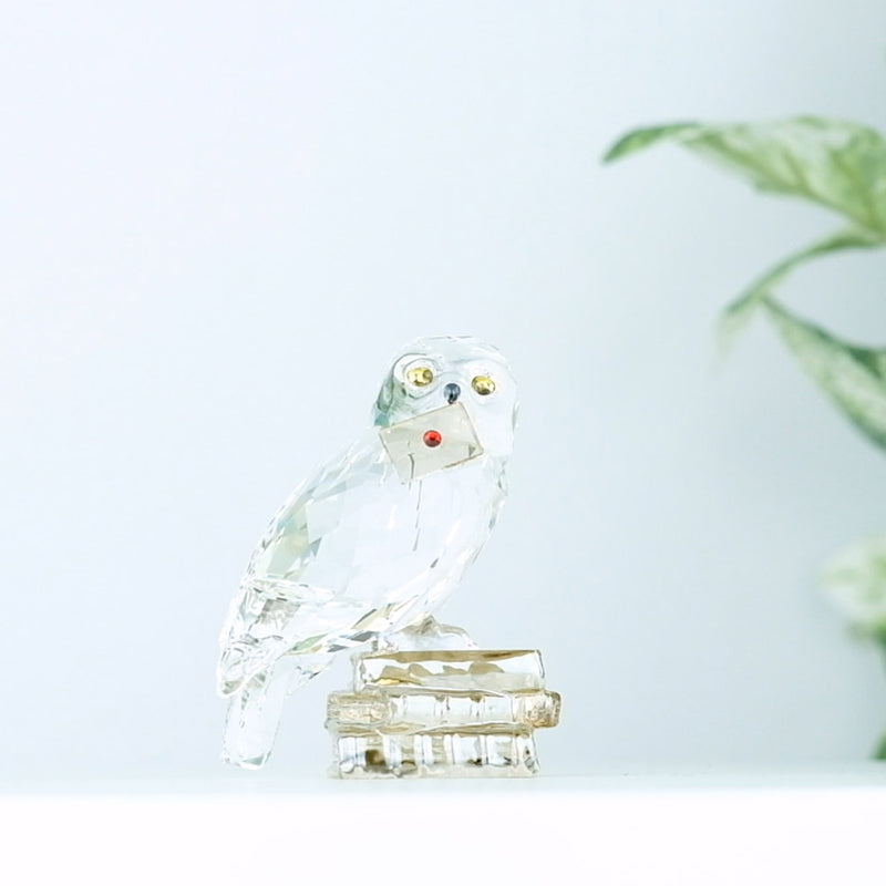 Swarovski Harry Potter Hedwig with plants in the background