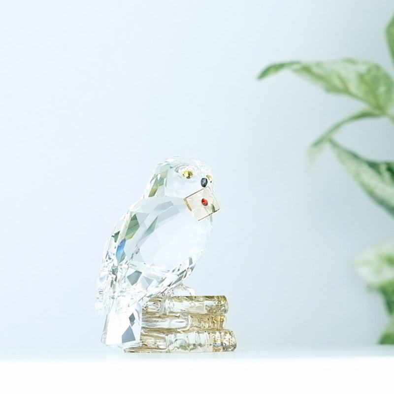 Swarovski Harry Potter Hedwig with plants in the background