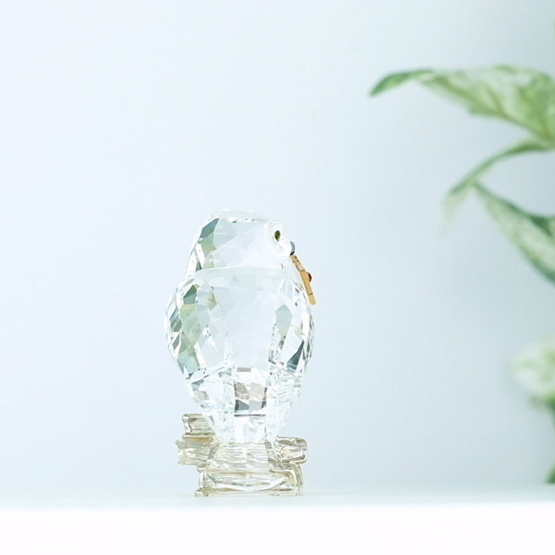 Swarovski Harry Potter Hedwig with plants in the background
