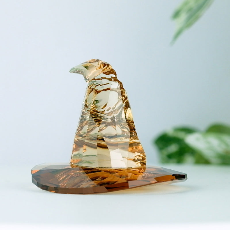  right side view