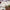 Villeroy & Boch Manoir 15cm Individual Bowls on a dining table