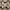 Villeroy and Boch Manoir 23cm Deep Plate on a dining table with Villeroy and Boch Manoir plates and Villeroy and Boch Glasses