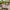 Villeroy & Boch Petite Fleur Range on a garden table