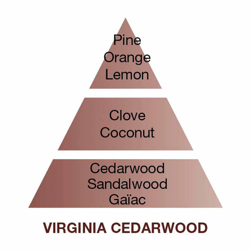 Maison Berger Virginia Cedarwood Diffuser Cube